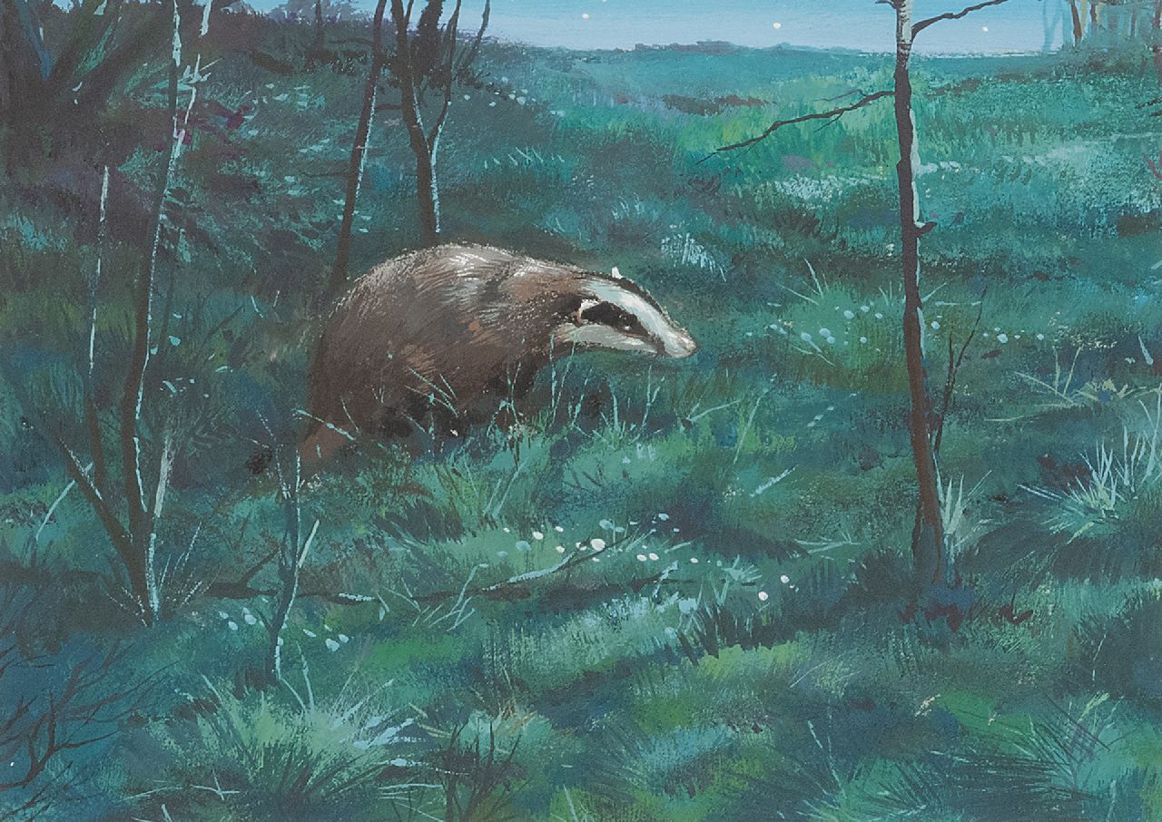 Poortvliet R. | Rien Poortvliet | Aquarellen en tekeningen te koop aangeboden | Een das op pad in de schemering, Hoge Veluwe, gouache op papier 12,9 x 17,3 cm Poortvliet R. | Rien Poortvliet | Aquarellen en tekeningen te koop aangeboden | Een das op pad in de schemering, Hoge Veluwe, gouache op papier 12,9 x 17,3 cm