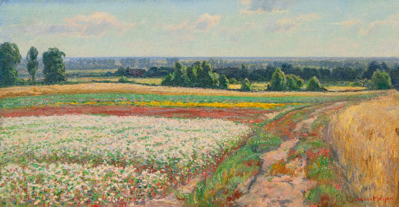 Meijer J. | Johannes 'Johan' Meijer | Schilderijen te koop aangeboden | Goois zomerlandschap, olieverf op doek 44,5 x 84,3 cm, gesigneerd rechtsonder Meijer J. | Johannes 'Johan' Meijer | Schilderijen te koop aangeboden | Goois zomerlandschap, olieverf op doek 44,5 x 84,3 cm, gesigneerd rechtsonder