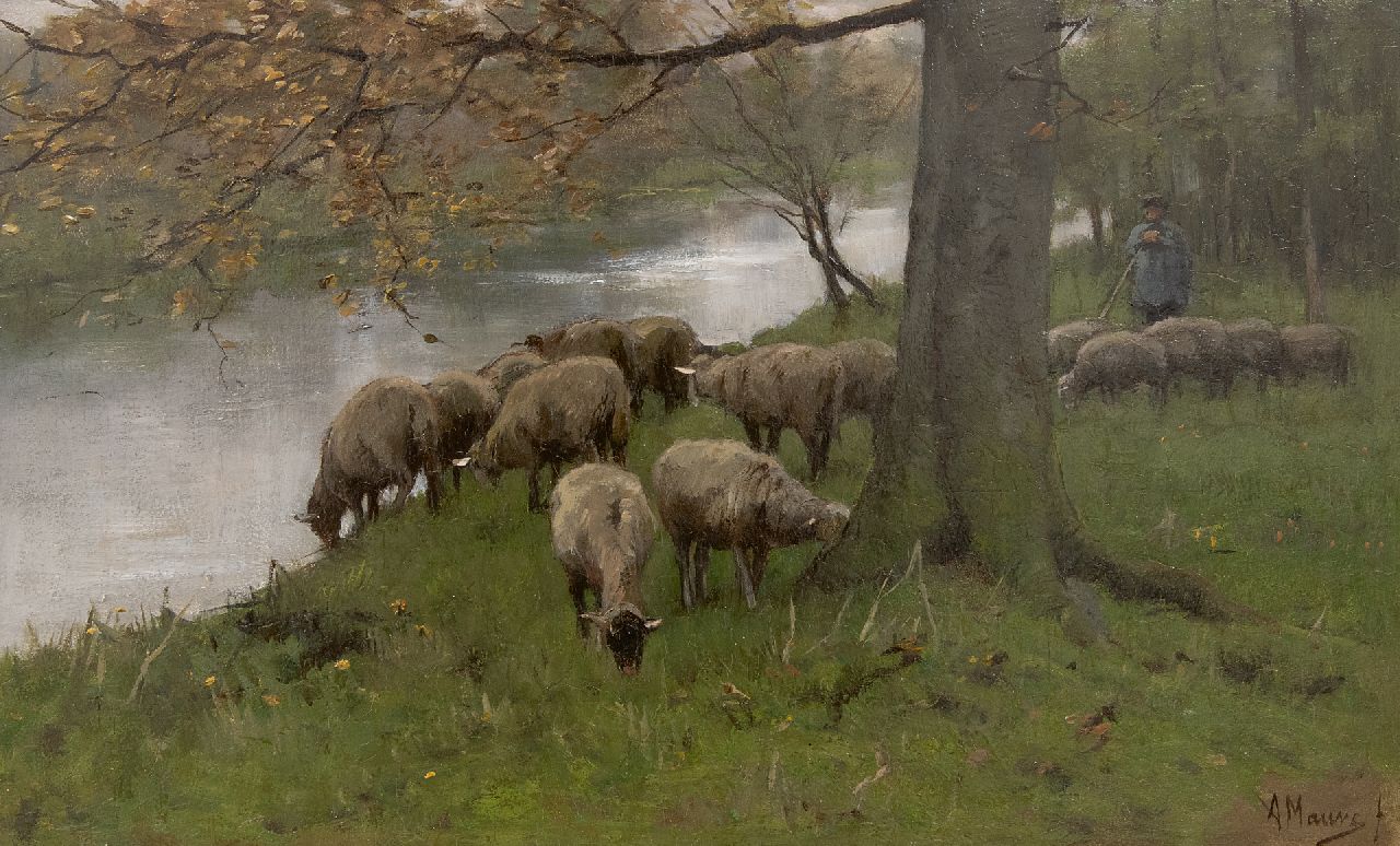 Mauve A.  | Anthonij 'Anton' Mauve | Schilderijen te koop aangeboden | Schapen aan de vaart, olieverf op paneel 25,1 x 41,0 cm, gesigneerd rechtsonder