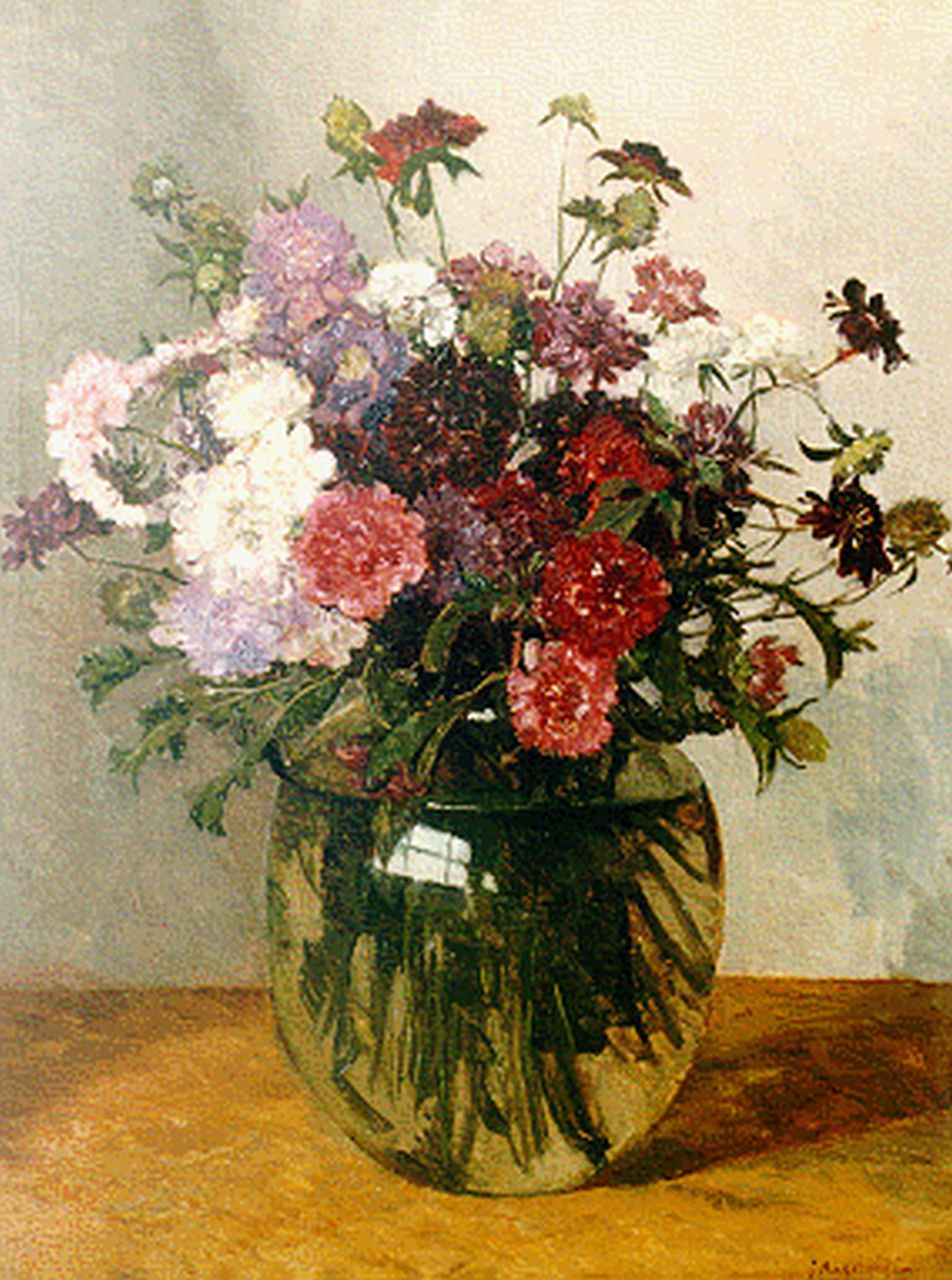 Akkeringa J.E.H.  | 'Johannes Evert' Hendrik Akkeringa, Scabiosa in glazen vaas, olieverf op doek 50,4 x 40,3 cm, gesigneerd rechtsonder en verso gedateerd 1934