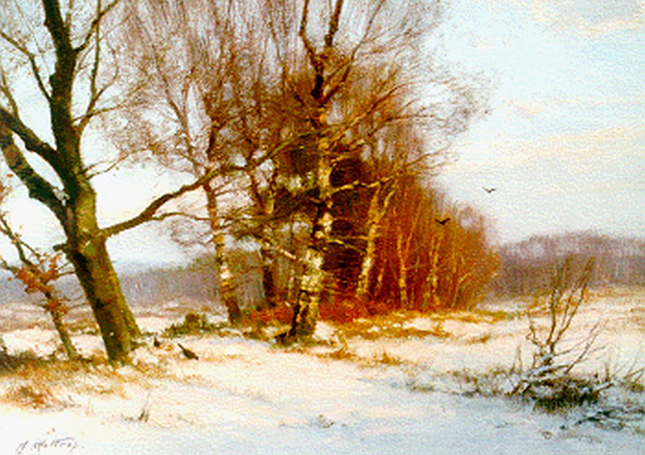 Holtrup J. | Jan Holtrup, Winter Imbos, Veluwe, olieverf op doek 30,0 x 40,4 cm, gesigneerd linksonder Holtrup J. | Jan Holtrup, Winter Imbos, Veluwe, olieverf op doek 30,0 x 40,4 cm, gesigneerd linksonder