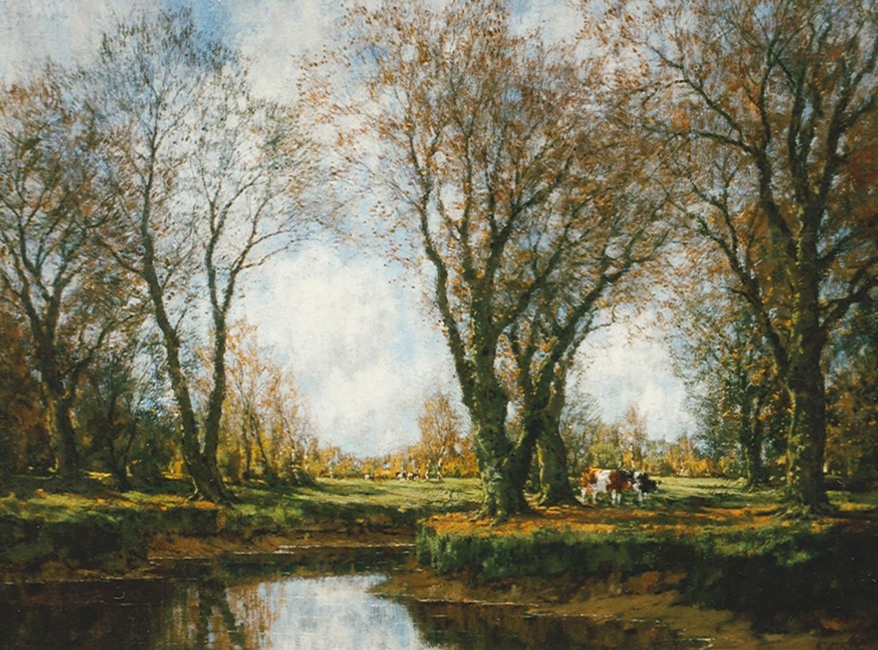 Gorter A.M.  | 'Arnold' Marc Gorter, Herfst langs de Vordense beek:'Sunlight and shadow', olieverf op doek 75,5 x 100,0 cm, gesigneerd rechtsonder