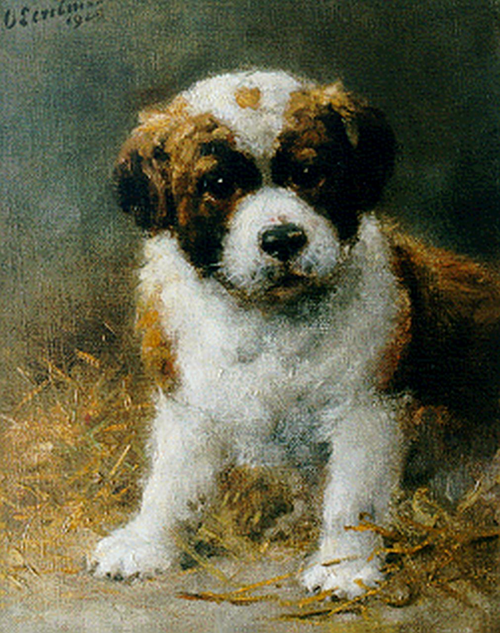 Eerelman O. | Otto Eerelman, Sint-Bernard pup, olieverf op doek 30,2 x 24,4 cm, gesigneerd linksboven en gedateerd 1925 Eerelman O. | Otto Eerelman, Sint-Bernard pup, olieverf op doek 30,2 x 24,4 cm, gesigneerd linksboven en gedateerd 1925