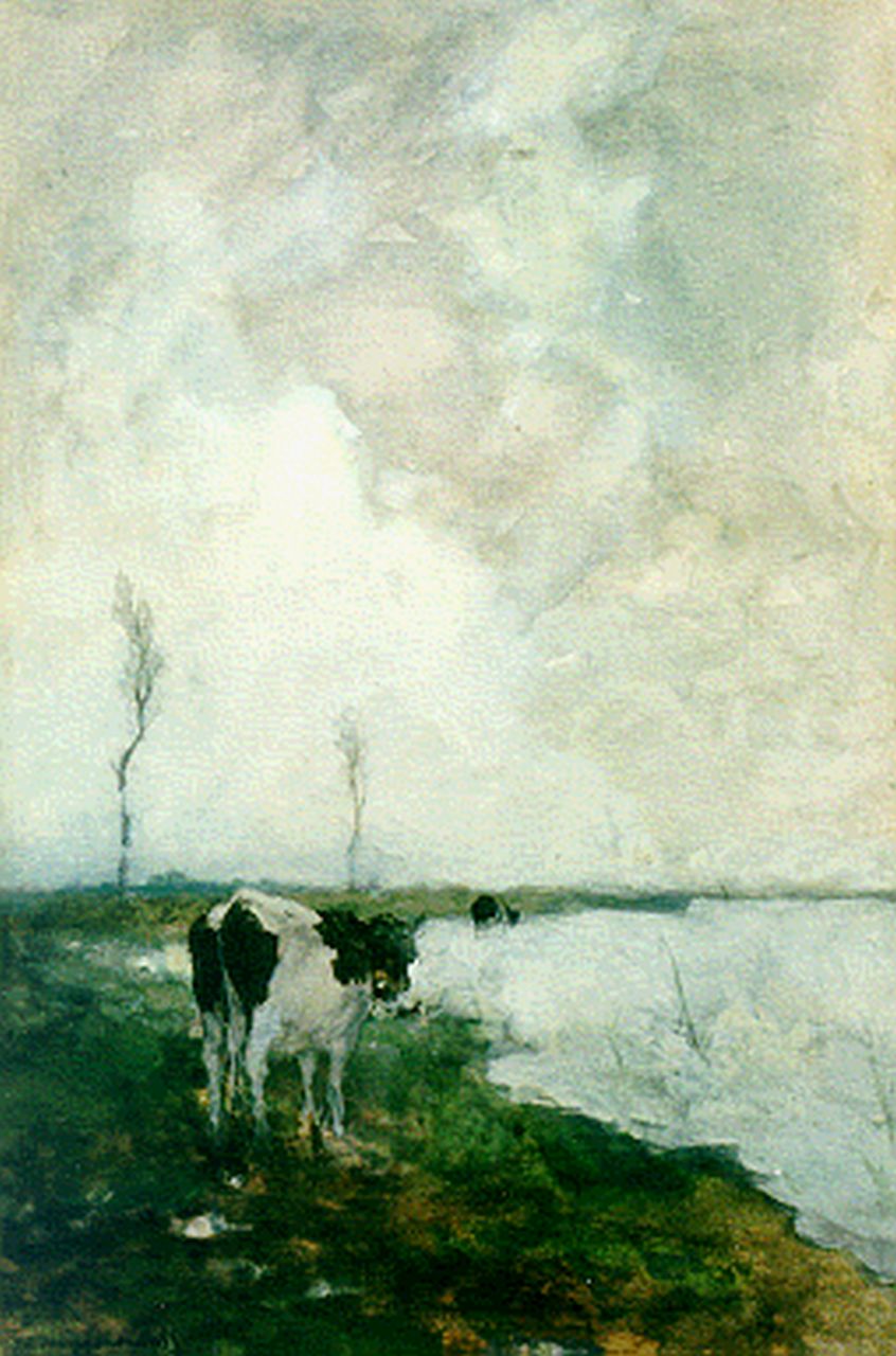 Weissenbruch H.J. | Hendrik Johannes 'J.H.' Weissenbruch, Koe bij een poldervaart, aquarel op schildersboard 44,0 x 29,5 cm, gesigneerd linksonder Weissenbruch H.J. | Hendrik Johannes 'J.H.' Weissenbruch, Koe bij een poldervaart, aquarel op schildersboard 44,0 x 29,5 cm, gesigneerd linksonder