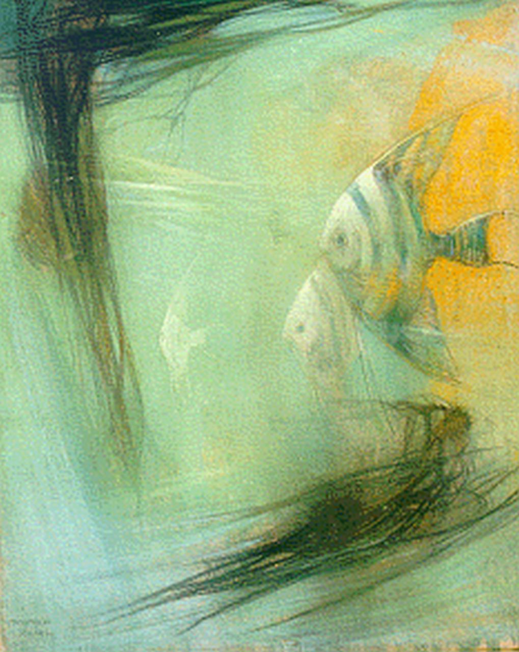 Hoff A.J. van 't | Adrianus Johannes 'Adriaan' van 't Hoff, Maanvissen in aquarium, pastel op papier 63,5 x 54,0 cm, gesigneerd rechtsonder Hoff A.J. van 't | Adrianus Johannes 'Adriaan' van 't Hoff, Maanvissen in aquarium, pastel op papier 63,5 x 54,0 cm, gesigneerd rechtsonder