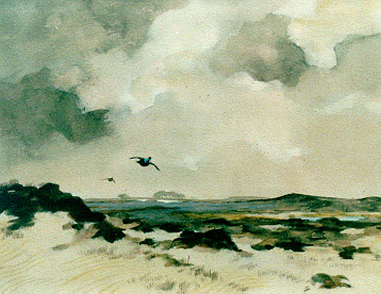 Schrijnder J.A.  | Josephus Alphonus 'Jo' Schrijnder, Eenden boven waterlandschap, aquarel en gouache op papier 21,0 x 27,6 cm, gesigneerd rechtsonder