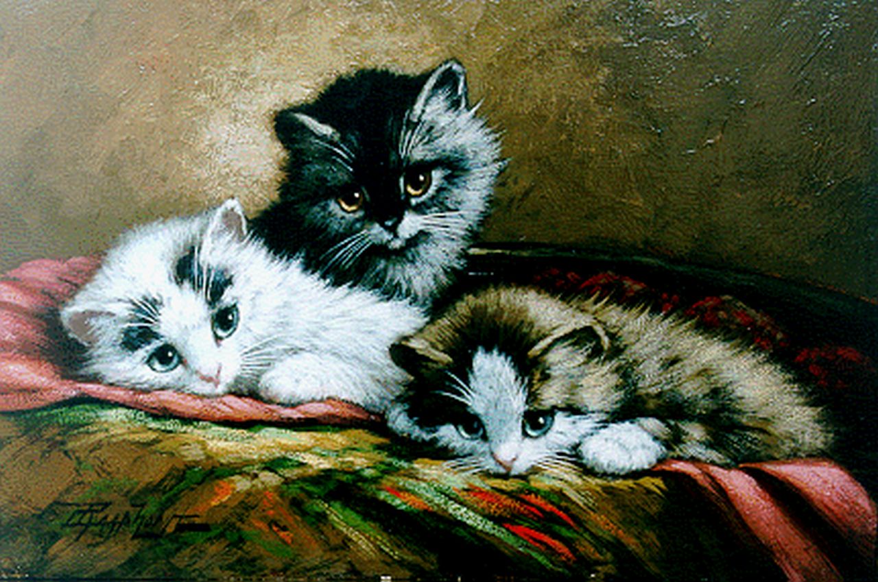 Raaphorst C.  | Cornelis Raaphorst, Drie jonge poesjes, olieverf op doek op paneel 18,9 x 27,9 cm, gesigneerd linksonder