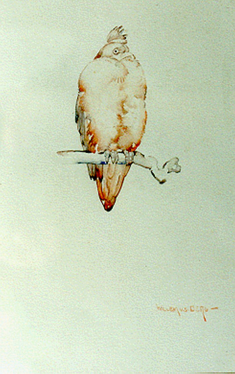 Berg W.H. van den | 'Willem' Hendrik van den Berg, Duif, aquarel op papier 22,5 x 15,0 cm, gesigneerd rechtsonder Berg W.H. van den | 'Willem' Hendrik van den Berg, Duif, aquarel op papier 22,5 x 15,0 cm, gesigneerd rechtsonder