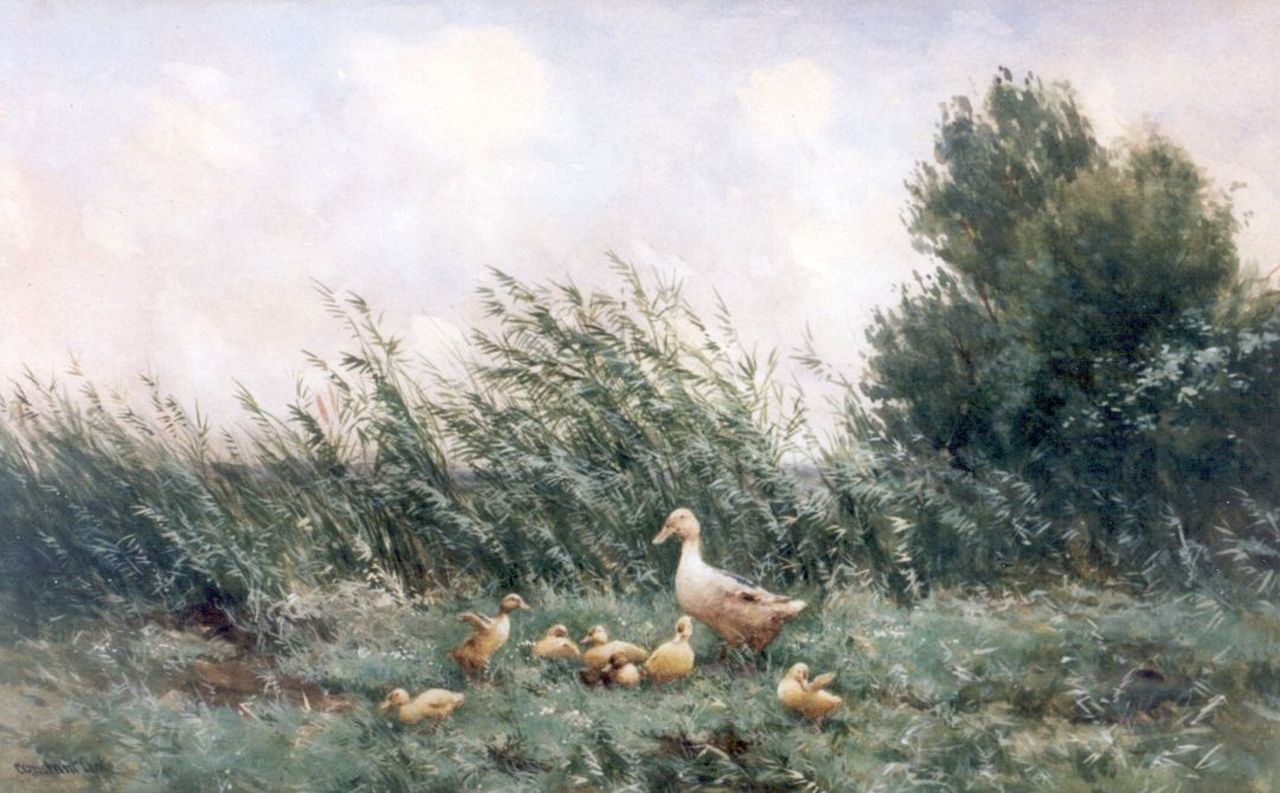 Artz C.D.L. | 'Constant' David Ludovic Artz, Eendenfamilie in het gras, aquarel op papier 33,5 x 53,5 cm, gesigneerd linksonder Artz C.D.L. | 'Constant' David Ludovic Artz, Eendenfamilie in het gras, aquarel op papier 33,5 x 53,5 cm, gesigneerd linksonder
