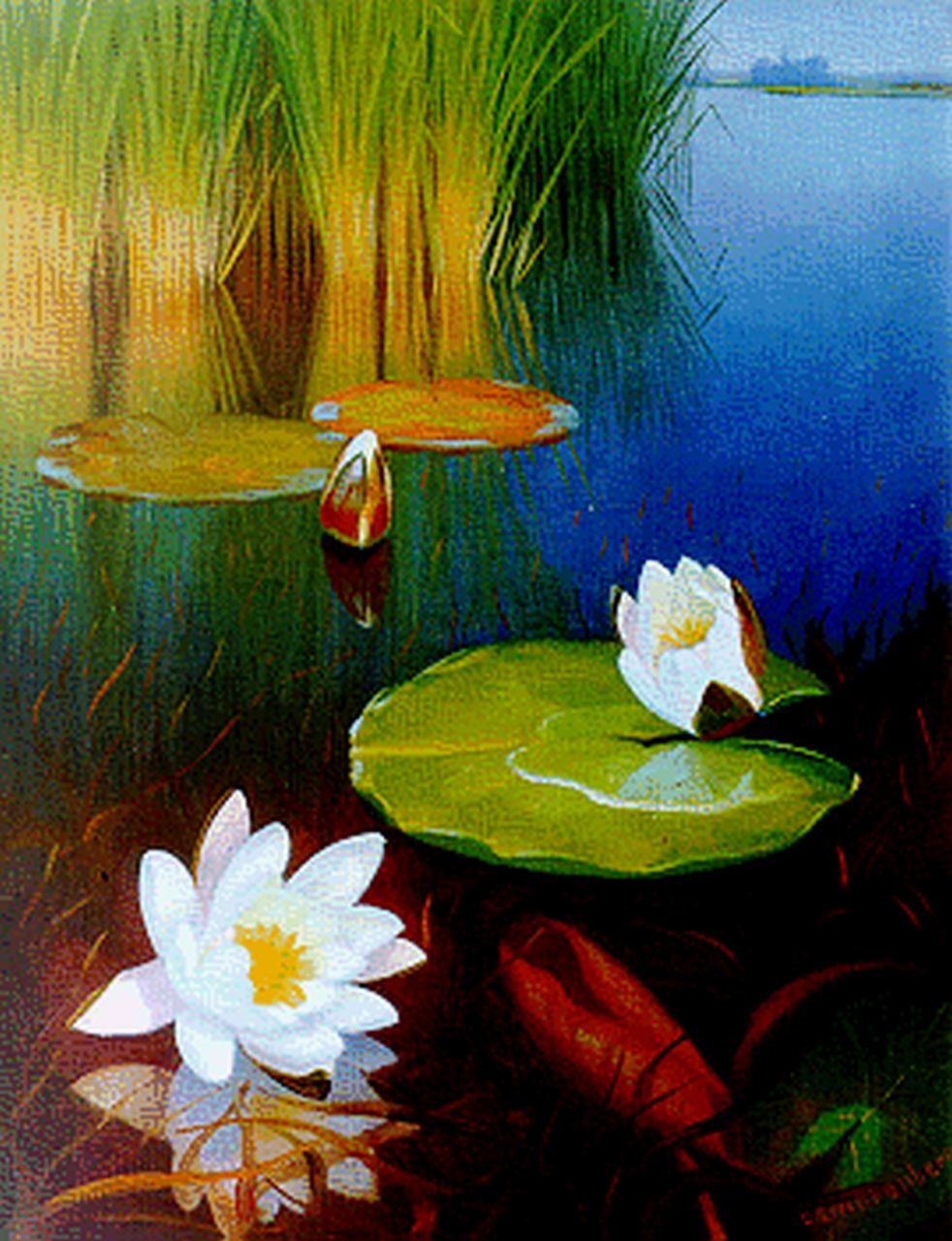 Smorenberg D. | Dirk Smorenberg, Waterlelies in de Loosdrechtse plassen, olieverf op doek 50,5 x 39,0 cm, gesigneerd rechtsonder Smorenberg D. | Dirk Smorenberg, Waterlelies in de Loosdrechtse plassen, olieverf op doek 50,5 x 39,0 cm, gesigneerd rechtsonder