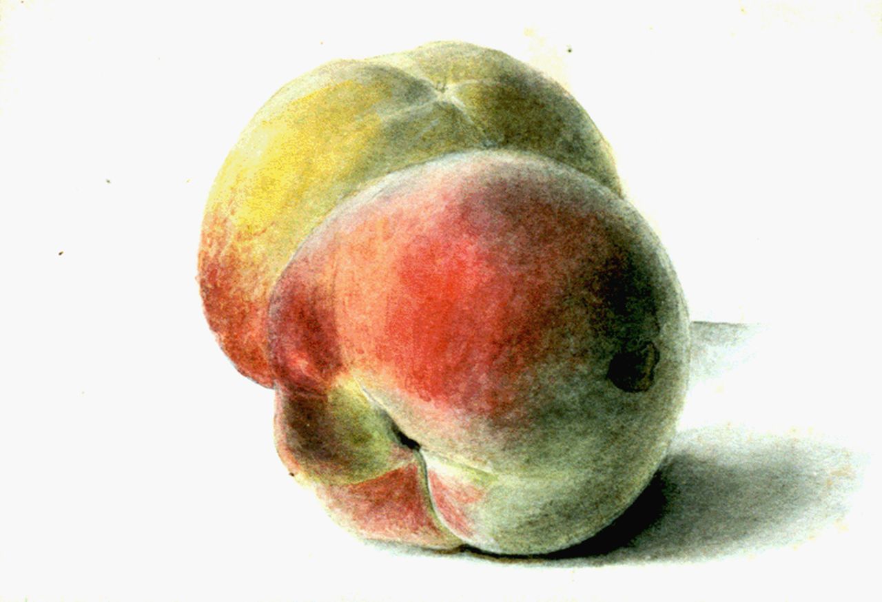 Sande Bakhuyzen G.J. van de | 'Gerardine' Jacoba van de Sande Bakhuyzen, Studie van twee perziken, aquarel op papier 13,0 x 18,1 cm