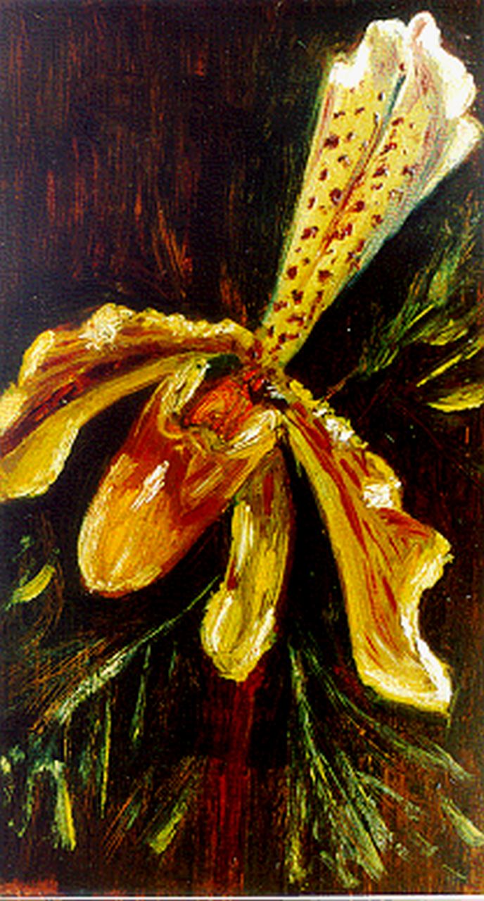 Maris M. | Mies Maris, Orchideeën, olieverf op papier op schildersboard 22,0 x 12,6 cm Maris M. | Mies Maris, Orchideeën, olieverf op papier op schildersboard 22,0 x 12,6 cm