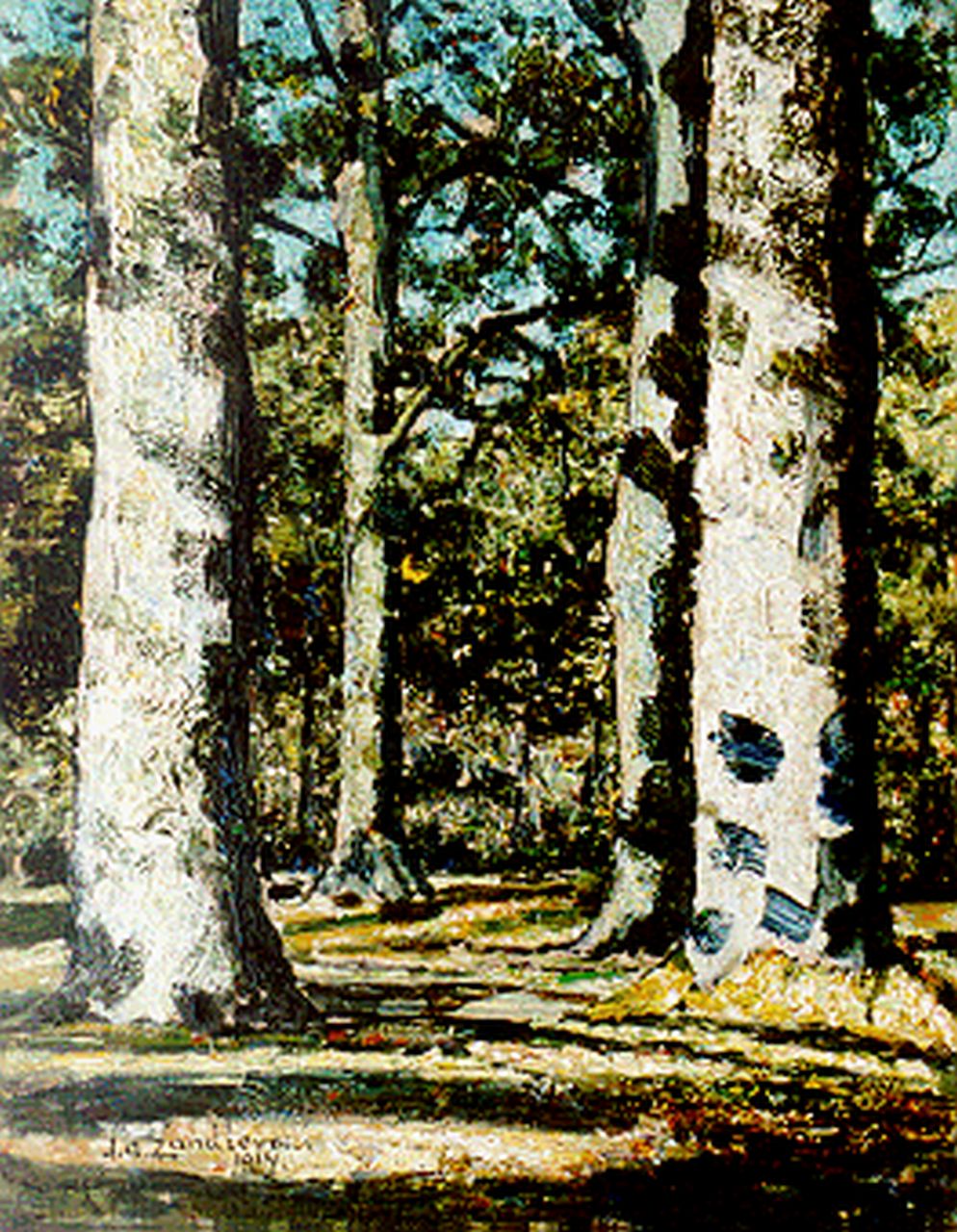 Zandleven J.A. | Jan Adam Zandleven, Zonovergoten bosgezicht, olieverf op doek op schildersboard 41,0 x 32,0 cm, gesigneerd linksonder en gedateerd 1914 Zandleven J.A. | Jan Adam Zandleven, Zonovergoten bosgezicht, olieverf op doek op schildersboard 41,0 x 32,0 cm, gesigneerd linksonder en gedateerd 1914