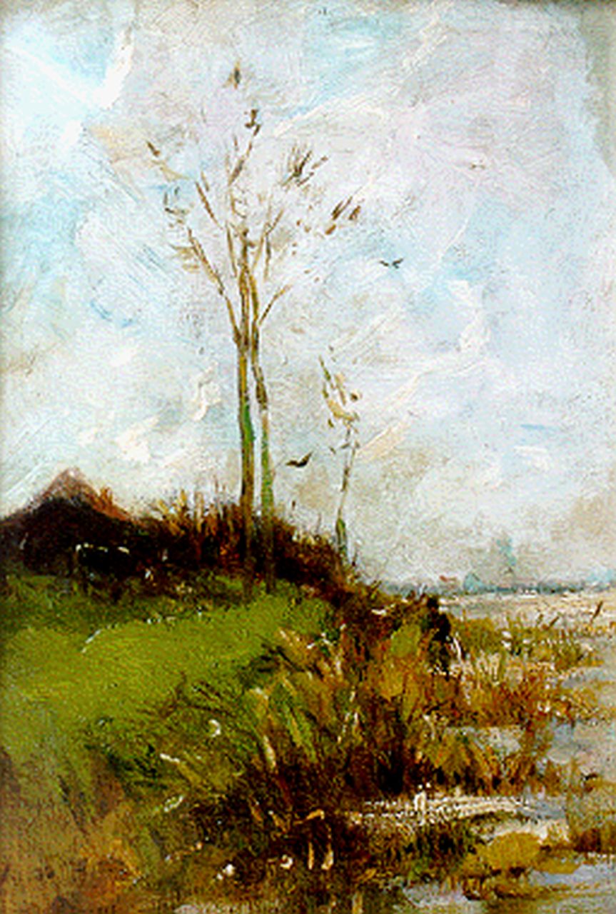 Maris S.W.  | Simon Willem Maris, Rietkraag aan een plas, verso landschapstudie, 34,7 x 24,5 cm, gesigneerd linksonder en gedateerd '96