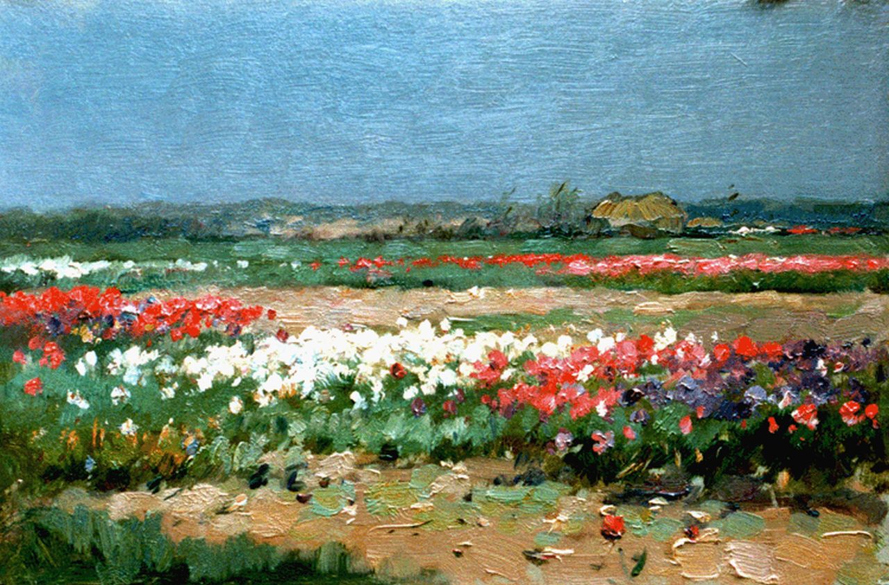 Knikker A.  | Aris Knikker, Bollenveld, olieverf op paneel 23,1 x 34,9 cm