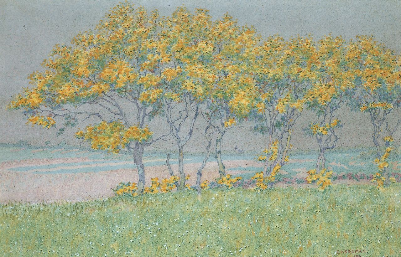 Breman A.J.  | Ahazueros Jacobus 'Co' Breman, Bomen bij Blaricum, aquarel op papier 46,0 x 70,0 cm, gesigneerd rechtsonder en gedateerd 1901