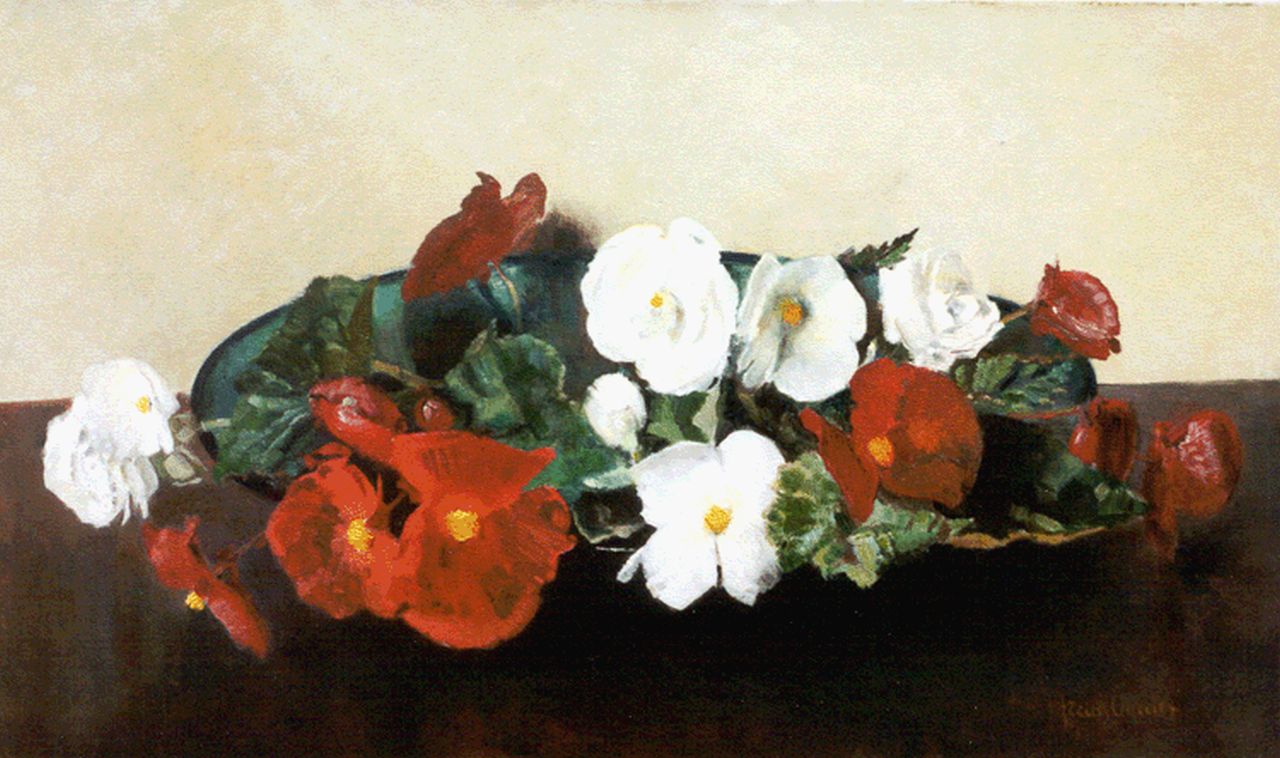 Oerder F.D. | 'Frans' David Oerder, Schaal met rode en witte begonia's, olieverf op doek 60,3 x 100,1 cm, gesigneerd rechtsonder Oerder F.D. | 'Frans' David Oerder, Schaal met rode en witte begonia's, olieverf op doek 60,3 x 100,1 cm, gesigneerd rechtsonder