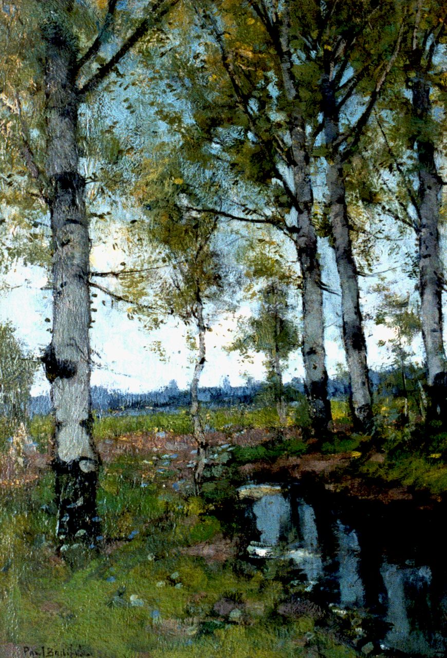 Bodifée J.P.P.  | Johannes Petrus Paulus 'Paul' Bodifée, Berken, olieverf op schildersboard 46,5 x 32,4 cm, gesigneerd linksonder