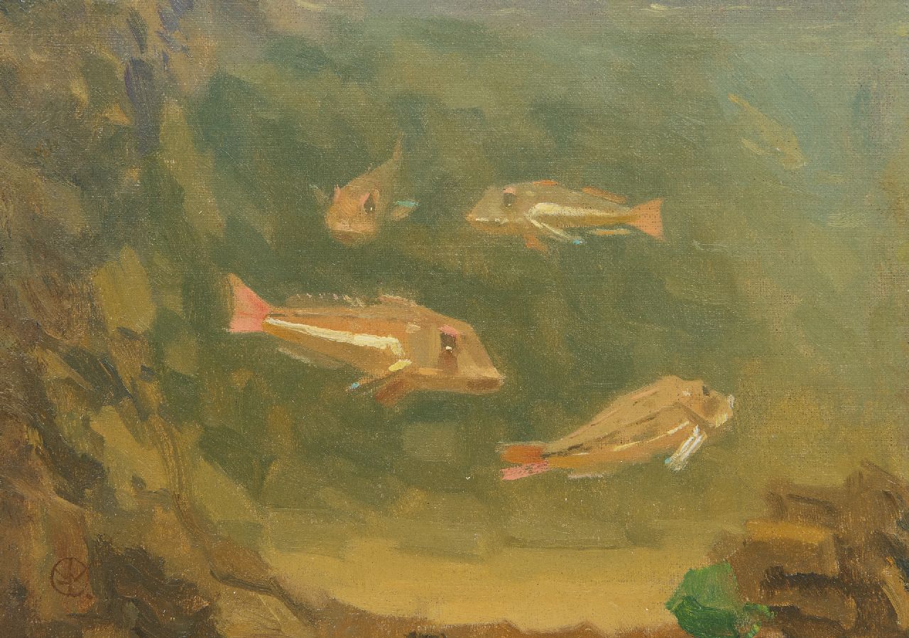 Dijsselhof G.W. | Gerrit Willem Dijsselhof | Schilderijen te koop aangeboden | Rode ponen in een aquarium (niet te koop), olieverf op doek op paneel 18,5 x 24,5 cm, gesigneerd linksonder met mon Dijsselhof G.W. | Gerrit Willem Dijsselhof | Schilderijen te koop aangeboden | Rode ponen in een aquarium (niet te koop), olieverf op doek op paneel 18,5 x 24,5 cm, gesigneerd linksonder met mon