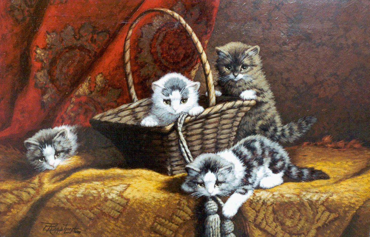 Raaphorst C.  | Cornelis Raaphorst, Vier jonge poesjes, olieverf op doek 40,0 x 60,0 cm, gesigneerd linksonder