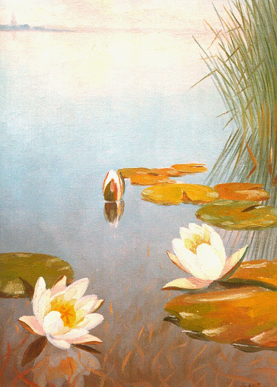 Smorenberg D. | Dirk Smorenberg, Waterlelies, olieverf op doek 30,0 x 20,0 cm, gesigneerd rechtsonder Smorenberg D. | Dirk Smorenberg, Waterlelies, olieverf op doek 30,0 x 20,0 cm, gesigneerd rechtsonder