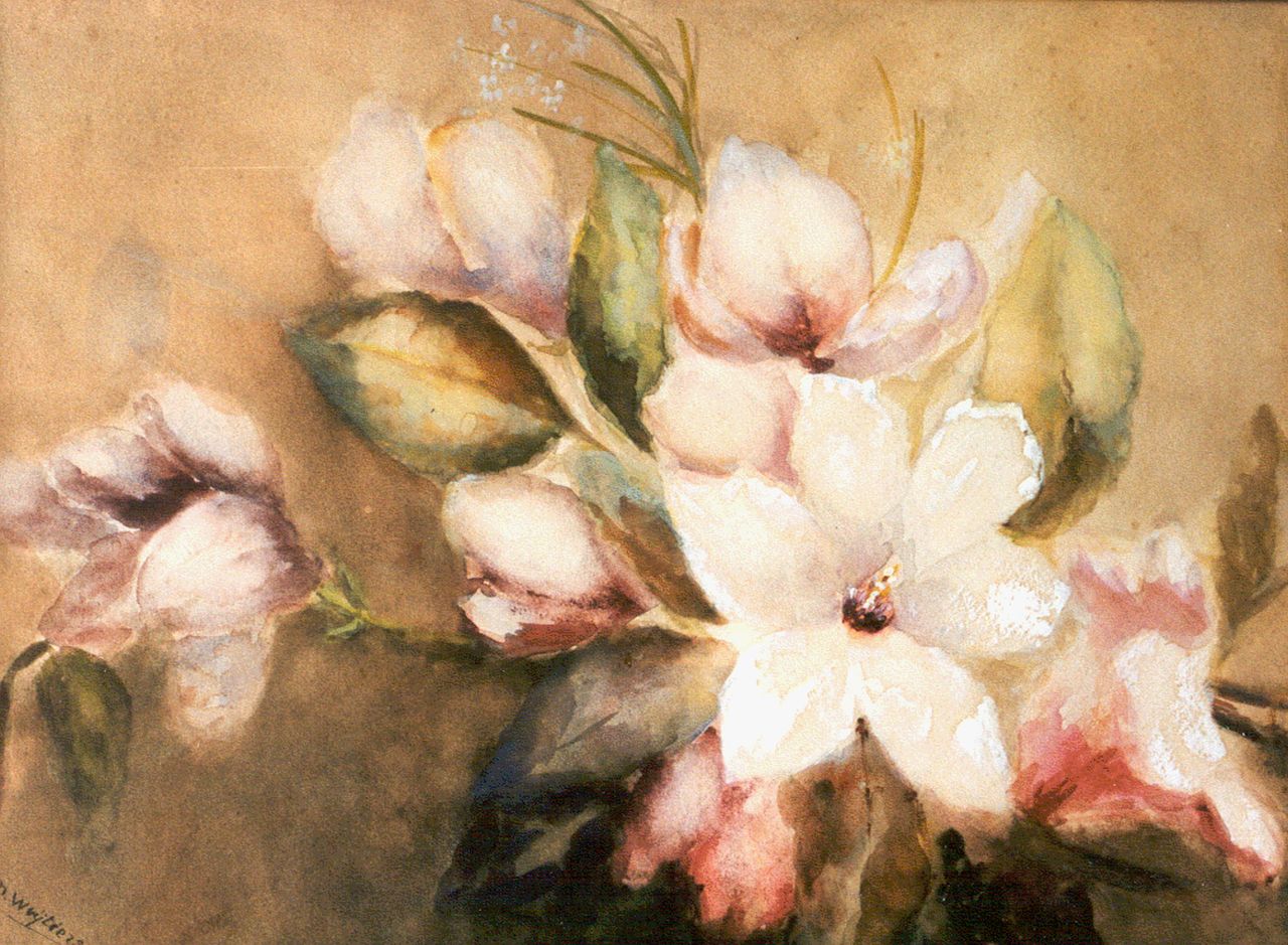 Wuytiers-Blaauw A.M. | Anna Maria 'Marie' Wuytiers-Blaauw, Magnoliatak, aquarel en gouache op papier 39,5 x 54,0 cm, gesigneerd linksonder Wuytiers-Blaauw A.M. | Anna Maria 'Marie' Wuytiers-Blaauw, Magnoliatak, aquarel en gouache op papier 39,5 x 54,0 cm, gesigneerd linksonder