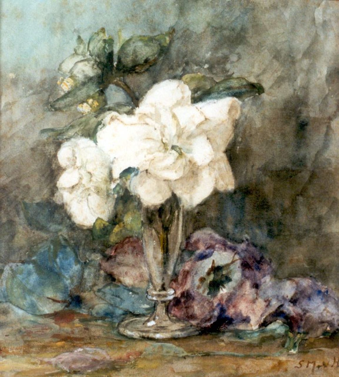 Mesdag-van Houten S.  | Sina 'Sientje' Mesdag-van Houten, Camelia's in vaasje, aquarel op papier 26,0 x 23,5 cm, gesigneerd rechtsonder met initialen