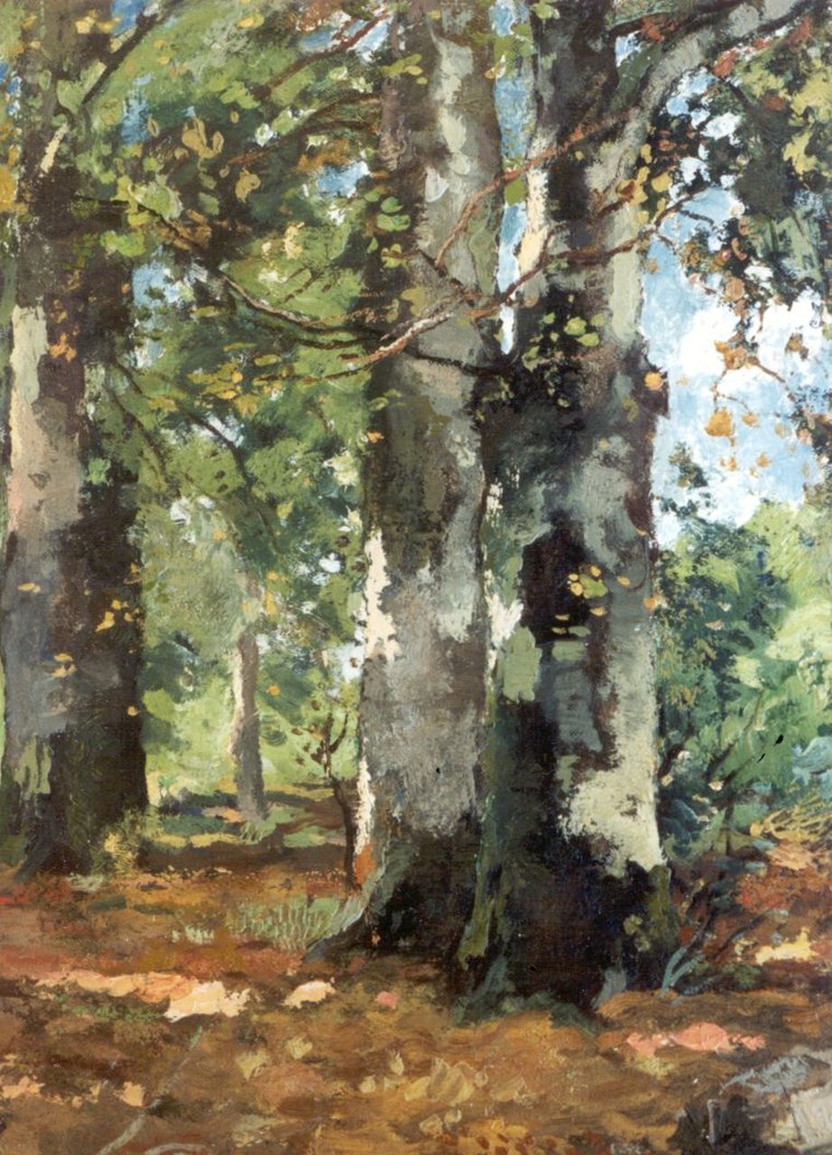 Bock T.E.A. de | Théophile Emile Achille de Bock, Berkenbomen, olieverf op doek op paneel 40,1 x 28,7 cm, gesigneerd rechtsonder Bock T.E.A. de | Théophile Emile Achille de Bock, Berkenbomen, olieverf op doek op paneel 40,1 x 28,7 cm, gesigneerd rechtsonder