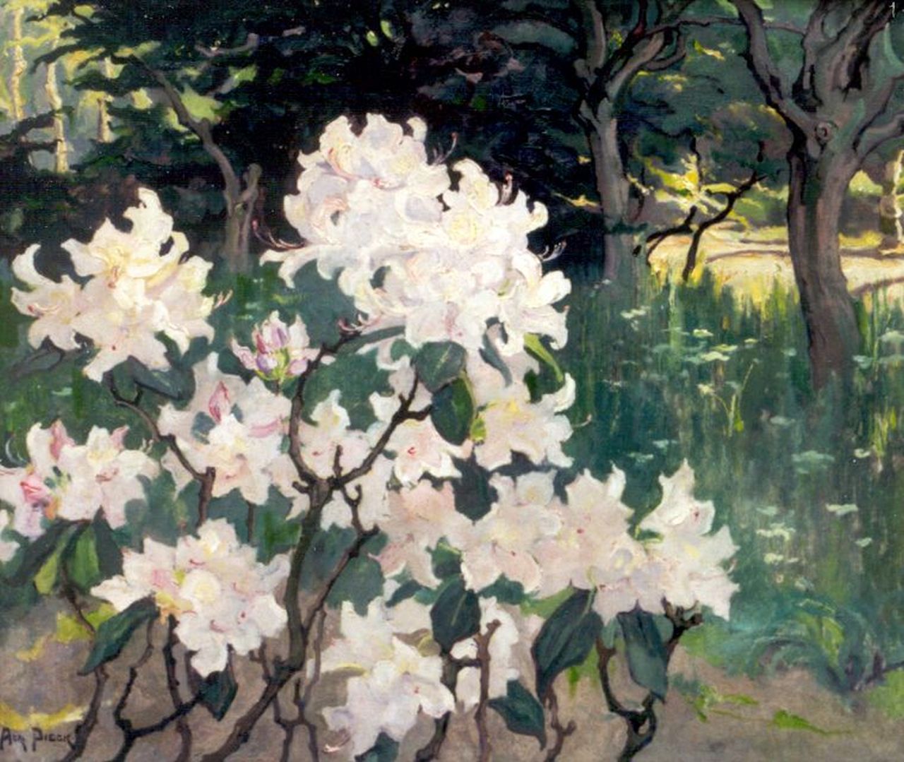 Pieck A.J. | Adriana Jacoba 'Adri' Pieck, Rhododendrons, olieverf op doek 55,9 x 65,5 cm, gesigneerd linksonder Pieck A.J. | Adriana Jacoba 'Adri' Pieck, Rhododendrons, olieverf op doek 55,9 x 65,5 cm, gesigneerd linksonder