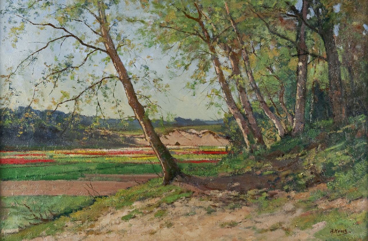 Keus A. | Adriaan Keus, Bosrand met uitzicht op bollenvelden, olieverf op doek 54,0 x 81,2 cm, gesigneerd rechtsonder Keus A. | Adriaan Keus, Bosrand met uitzicht op bollenvelden, olieverf op doek 54,0 x 81,2 cm, gesigneerd rechtsonder