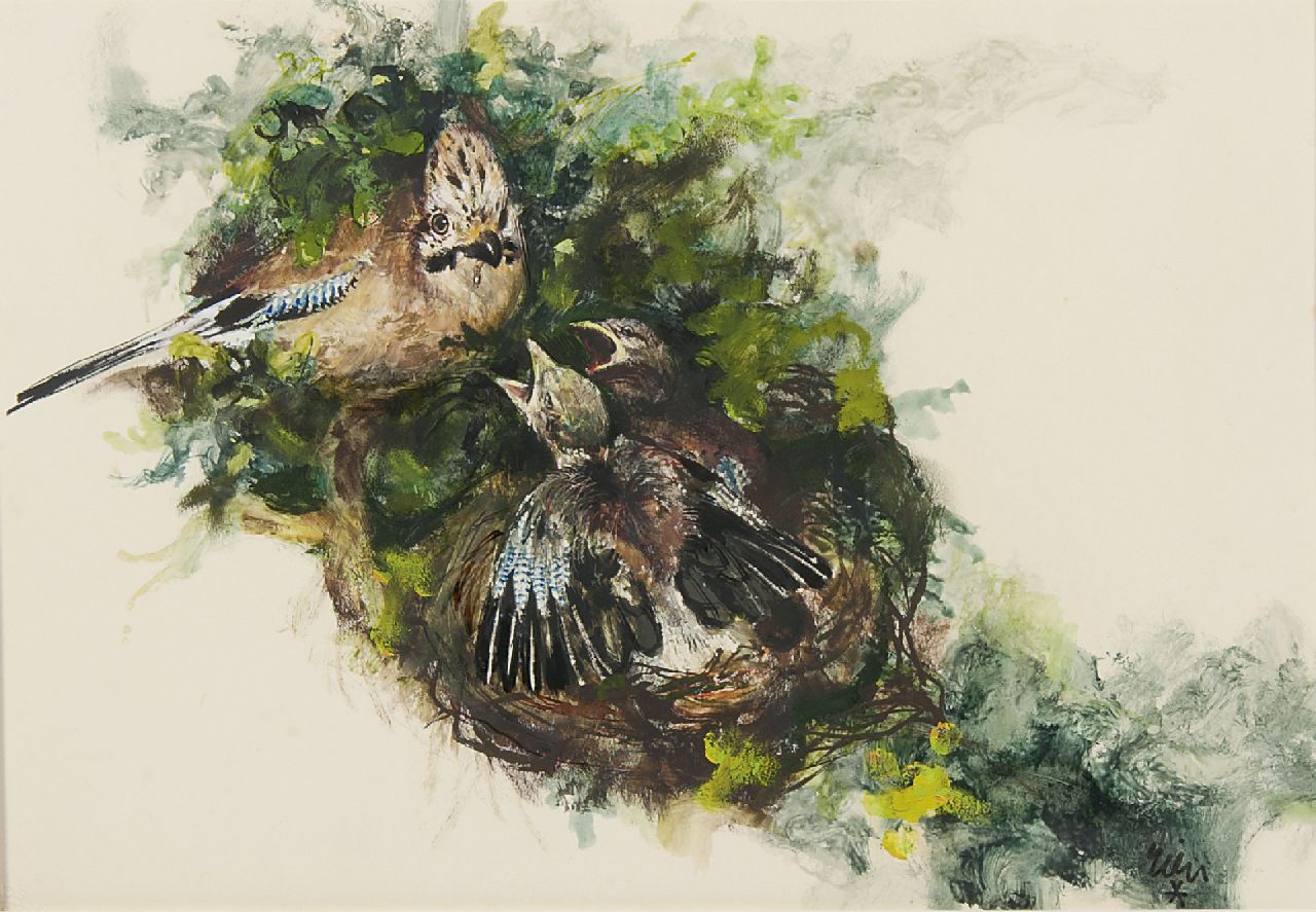 Poortvliet R.  | Rien Poortvliet, Vlaamse gaai haar jongen voedend, inkt, aquarel en gouache op papier 24,0 x 34,0 cm, gesigneerd rechtsonder