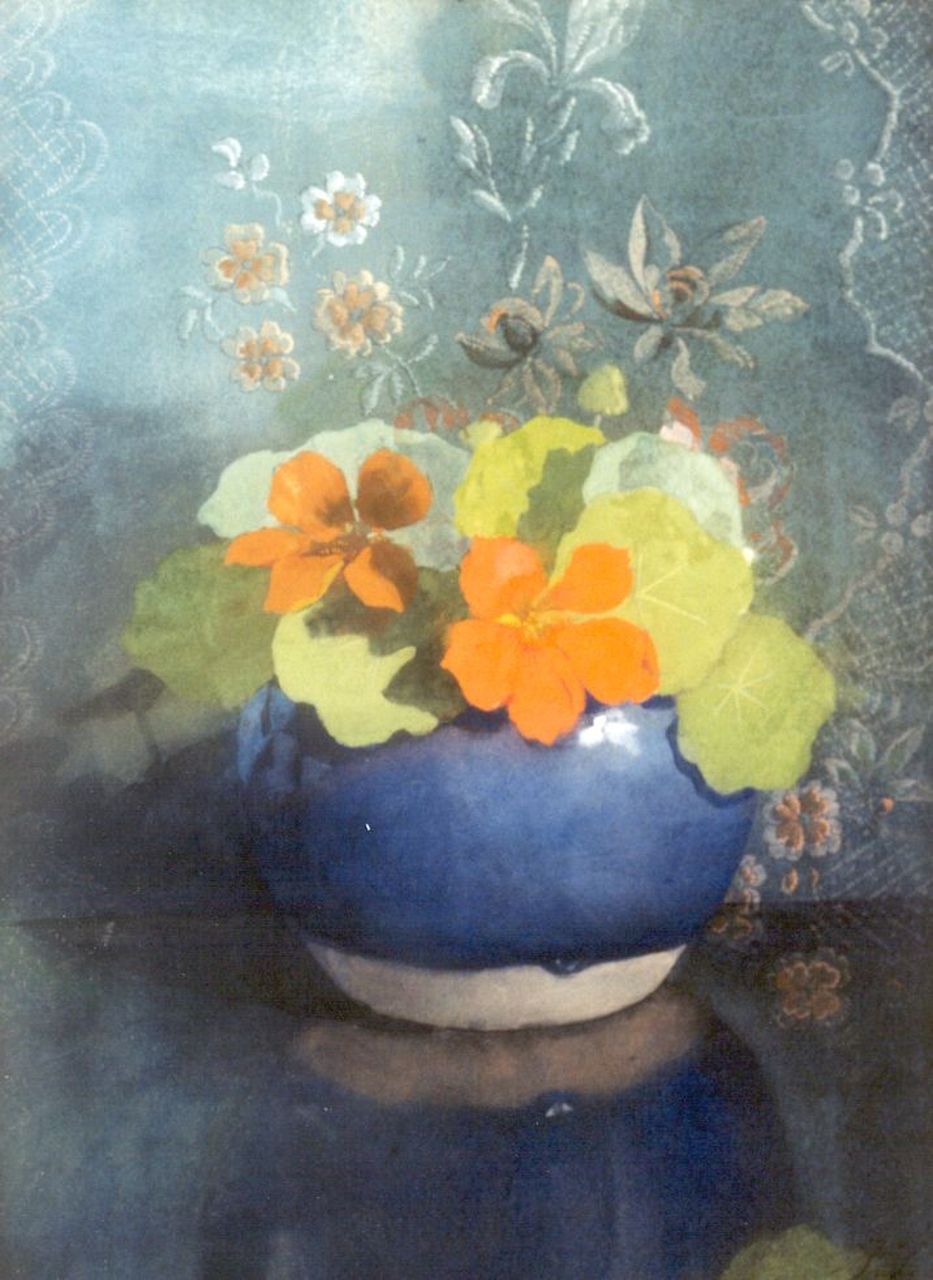 Voerman sr. J. | Jan Voerman sr., Oost-Indische kers in blauwe gemberpot, aquarel op papier 37,0 x 27,0 cm, gesigneerd met initialen rechtsonder en te dateren ca. 1889-1904 Voerman sr. J. | Jan Voerman sr., Oost-Indische kers in blauwe gemberpot, aquarel op papier 37,0 x 27,0 cm, gesigneerd met initialen rechtsonder en te dateren ca. 1889-1904