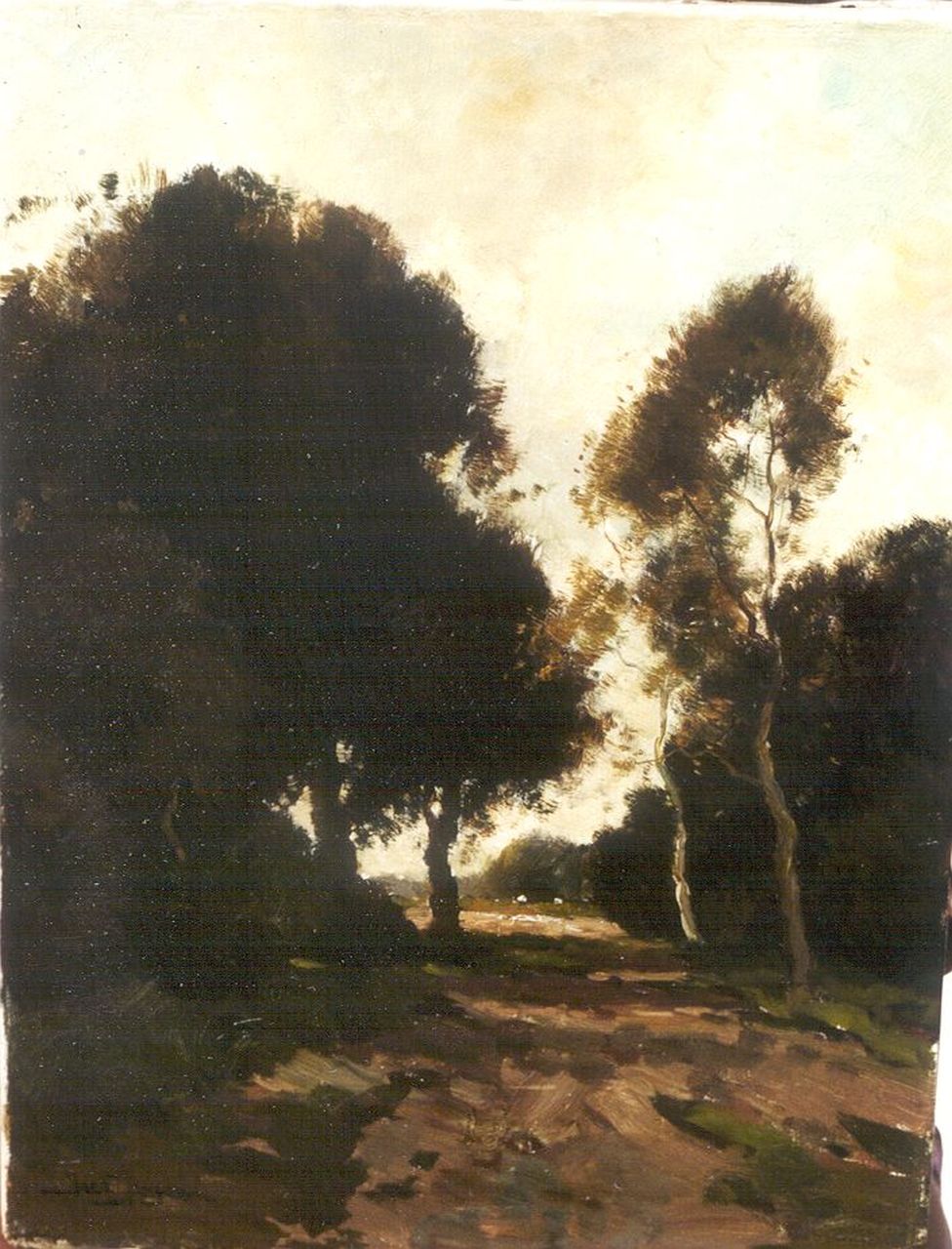 Jongsma J.L.  | Jacob Lucas 'Jac' Jongsma, Boslaantje, olieverf op doek 41,0 x 30,5 cm, gesigneerd linksonder