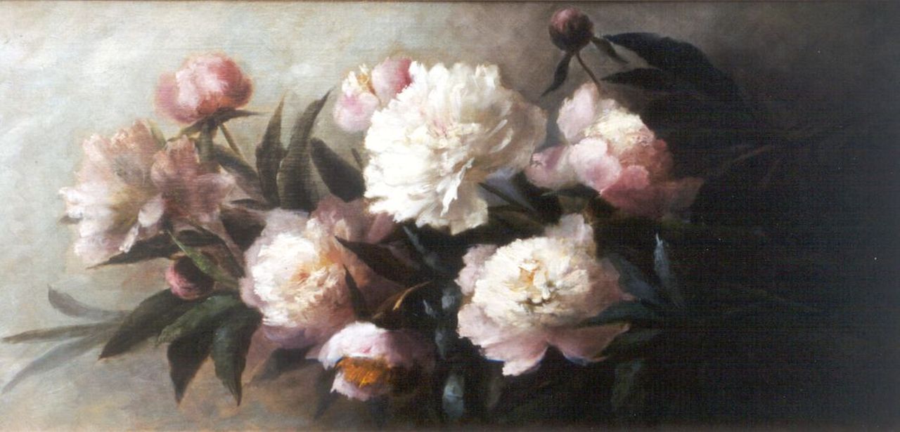 Stenis-Breuer C.F. van | 'Clara' Francina van Stenis-Breuer, Stilleven van pioenrozen, olieverf op doek 38,4 x 78,3 cm Stenis-Breuer C.F. van | 'Clara' Francina van Stenis-Breuer, Stilleven van pioenrozen, olieverf op doek 38,4 x 78,3 cm