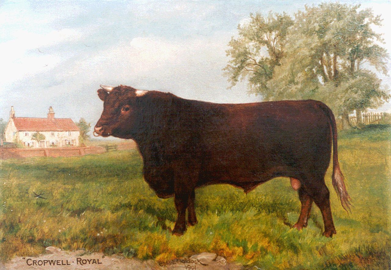 Baldock C.E.M. | Charles Edwin M. Baldock, Cropwell Royal, portret van een stier, olieverf op doek 29,8 x 42,0 cm, gesigneerd links van het midden. en gedateerd 1902 Baldock C.E.M. | Charles Edwin M. Baldock, Cropwell Royal, portret van een stier, olieverf op doek 29,8 x 42,0 cm, gesigneerd links van het midden. en gedateerd 1902