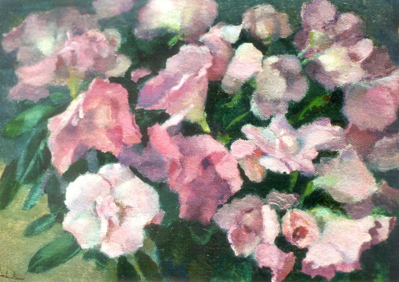 Stierhout J.A.U. | Josephus Antonius Ubaldus 'Joop' Stierhout, Azalea, olieverf op doek op paneel 18,0 x 24,0 cm, gesigneerd linksonder Stierhout J.A.U. | Josephus Antonius Ubaldus 'Joop' Stierhout, Azalea, olieverf op doek op paneel 18,0 x 24,0 cm, gesigneerd linksonder