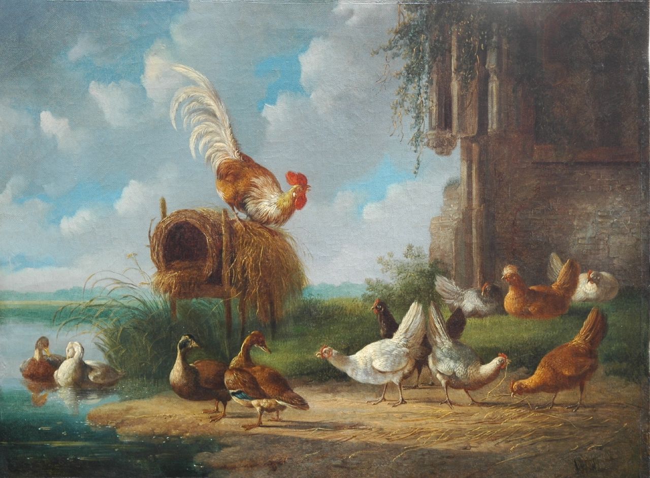 Verhoesen A. | Albertus Verhoesen, Haan met sierkippen en eenden aan de waterkant, olieverf op doek 34,7 x 46,5 cm, gesigneerd rechtsonder Verhoesen A. | Albertus Verhoesen, Haan met sierkippen en eenden aan de waterkant, olieverf op doek 34,7 x 46,5 cm, gesigneerd rechtsonder