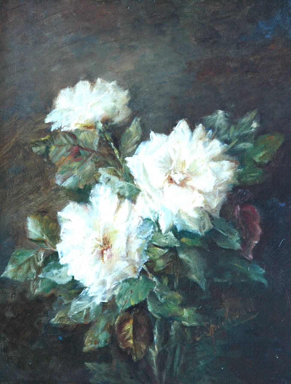 Speelman S.B.  | Sophia Baltina 'Sophie' Speelman, Theerozen, olieverf op paneel 45,2 x 35,0 cm, gesigneerd rechtsonder