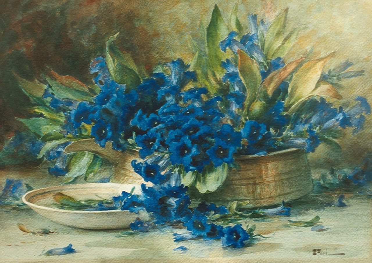 Filliard E.  | Ernest Filliard, Gentianen, aquarel op papier 40,0 x 57,0 cm, gesigneerd rechtsonder