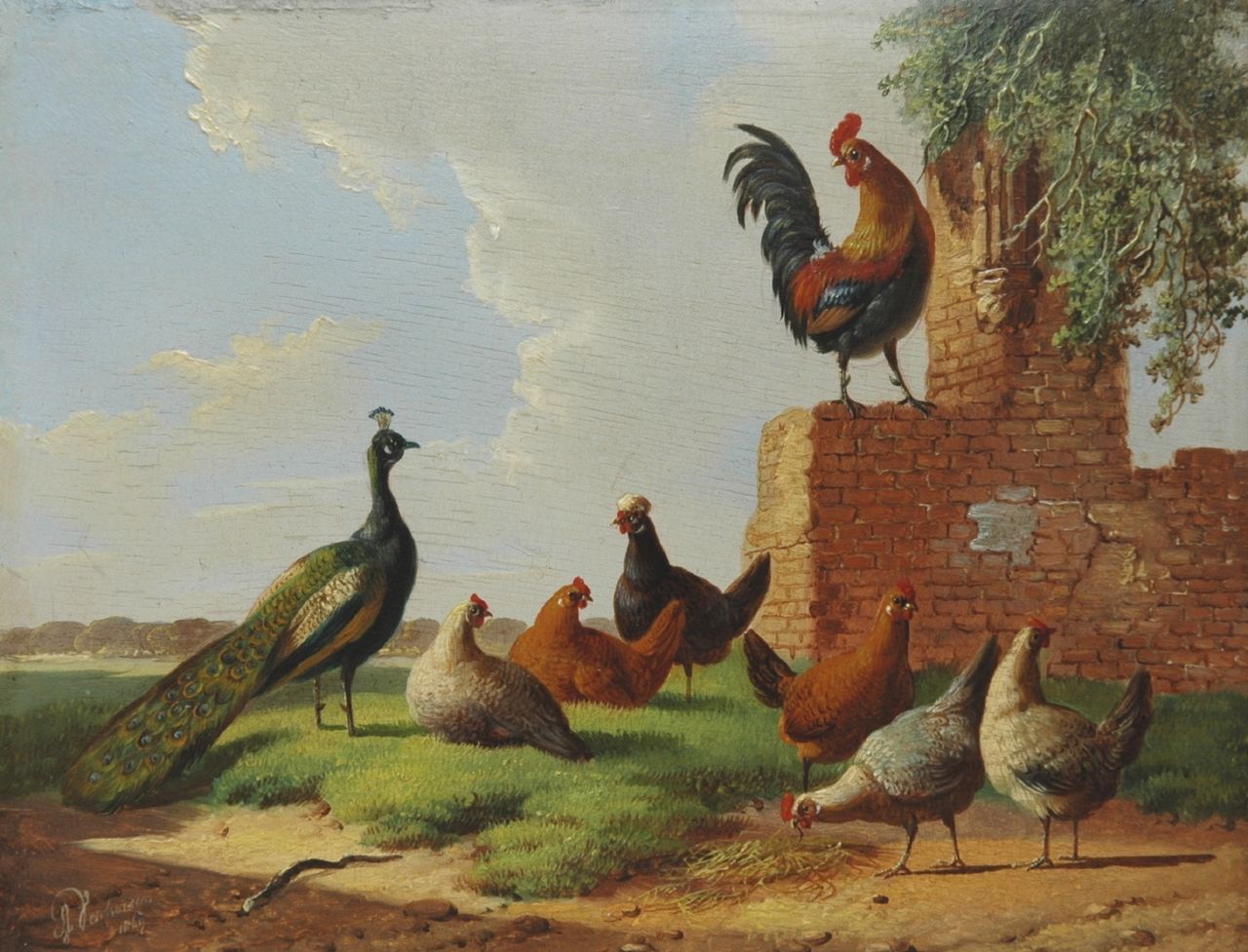 Verhoesen A. | Albertus Verhoesen, Pluimvee en een pauw bij een vervallen muur, olieverf op paneel 13,2 x 16,7 cm, gesigneerd linksonder en gedateerd 1869 Verhoesen A. | Albertus Verhoesen, Pluimvee en een pauw bij een vervallen muur, olieverf op paneel 13,2 x 16,7 cm, gesigneerd linksonder en gedateerd 1869