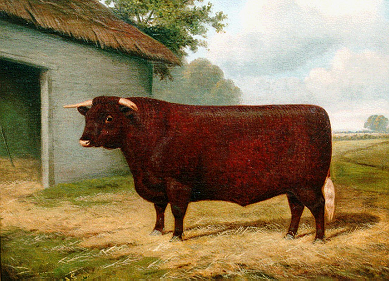 Clark W.A. | William Albert Clark, Engelse fokstier, olieverf op doek 43,2 x 53,2 cm, gesigneerd linksonder en gedateerd 1911 Clark W.A. | William Albert Clark, Engelse fokstier, olieverf op doek 43,2 x 53,2 cm, gesigneerd linksonder en gedateerd 1911