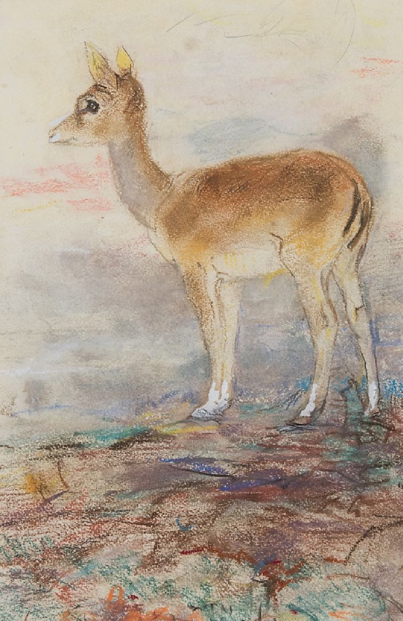 Vaarzon Morel W.F.A.I.  | Wilhelm Ferdinand Abraham Isaac 'Willem' Vaarzon Morel, Hertje, pastel op papier 27,5 x 18,5 cm, gesigneerd middenonder