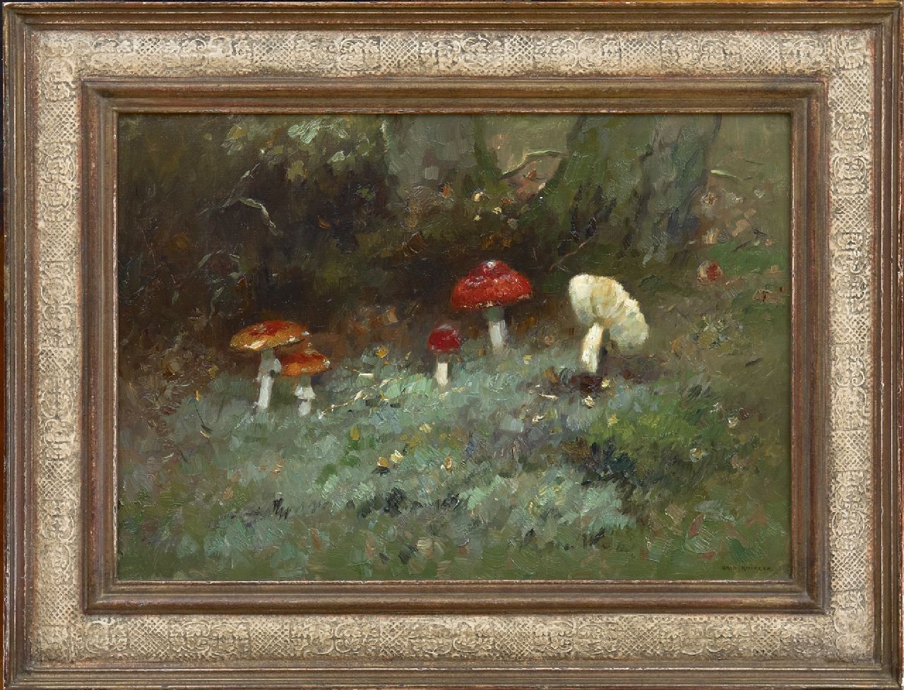 Knikker A. | Aris Knikker, Paddenstoelen in het bos, olieverf op doek 35,2 x 50,3 cm, gesigneerd rechtsonder Knikker A. | Aris Knikker, Paddenstoelen in het bos, olieverf op doek 35,2 x 50,3 cm, gesigneerd rechtsonder