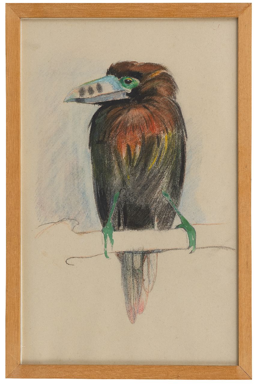 Bruigom M.C. | Margaretha Cornelia 'Greta' Bruigom, Toekan, krijt en aquarel op papier 43,6 x 29,3 cm Bruigom M.C. | Margaretha Cornelia 'Greta' Bruigom, Toekan, krijt en aquarel op papier 43,6 x 29,3 cm