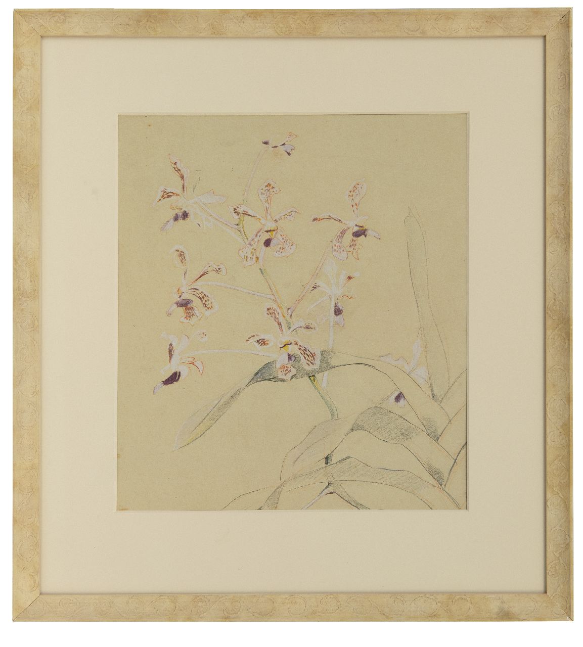 Bruigom M.C. | Margaretha Cornelia 'Greta' Bruigom, Orchideeëntak, potlood, krijt en aquarel op papier 45,9 x 32,4 cm, gesigneerd rechtsonder Bruigom M.C. | Margaretha Cornelia 'Greta' Bruigom, Orchideeëntak, potlood, krijt en aquarel op papier 45,9 x 32,4 cm, gesigneerd rechtsonder