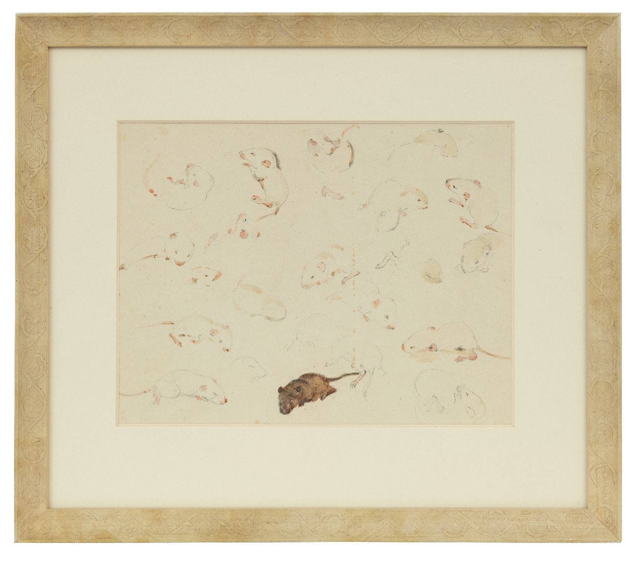 Bruigom M.C. | Margaretha Cornelia 'Greta' Bruigom | Aquarellen en tekeningen te koop aangeboden | Studie van muizen, 10 dagen oud, potlood en aquarel op papier 19,9 x 24,1 cm, gesigneerd rechtsonder Bruigom M.C. | Margaretha Cornelia 'Greta' Bruigom | Aquarellen en tekeningen te koop aangeboden | Studie van muizen, 10 dagen oud, potlood en aquarel op papier 19,9 x 24,1 cm, gesigneerd rechtsonder