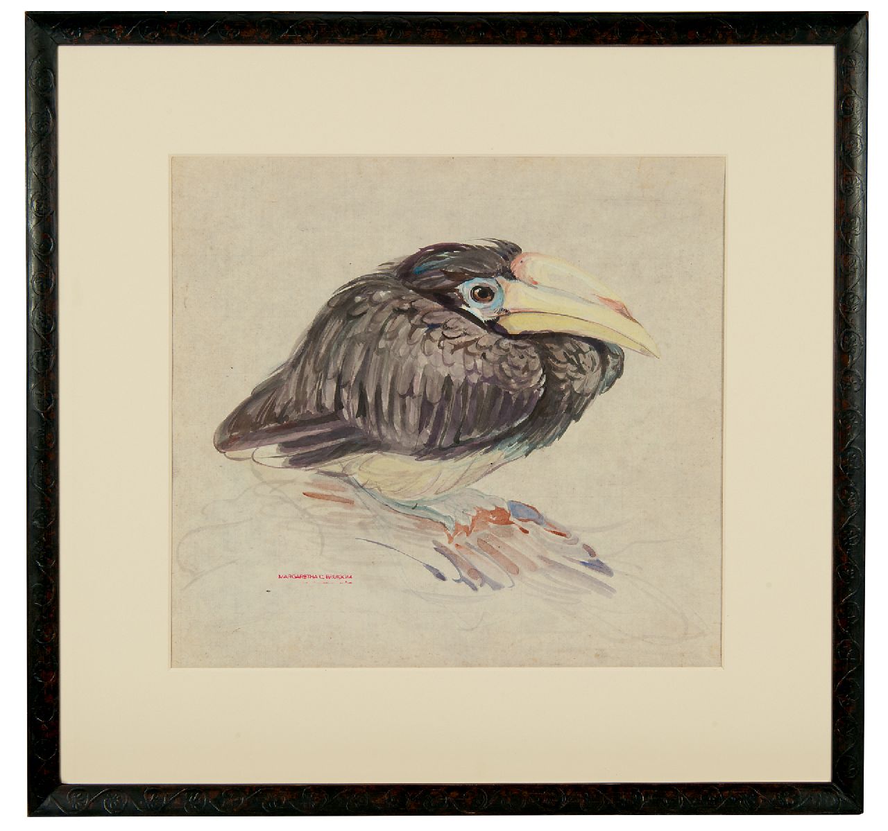 Bruigom M.C. | Margaretha Cornelia 'Greta' Bruigom, Jonge neushoornvogel, aquarel op papier 32,4 x 35,5 cm, gesigneerd linksonder met naamstempel Bruigom M.C. | Margaretha Cornelia 'Greta' Bruigom, Jonge neushoornvogel, aquarel op papier 32,4 x 35,5 cm, gesigneerd linksonder met naamstempel