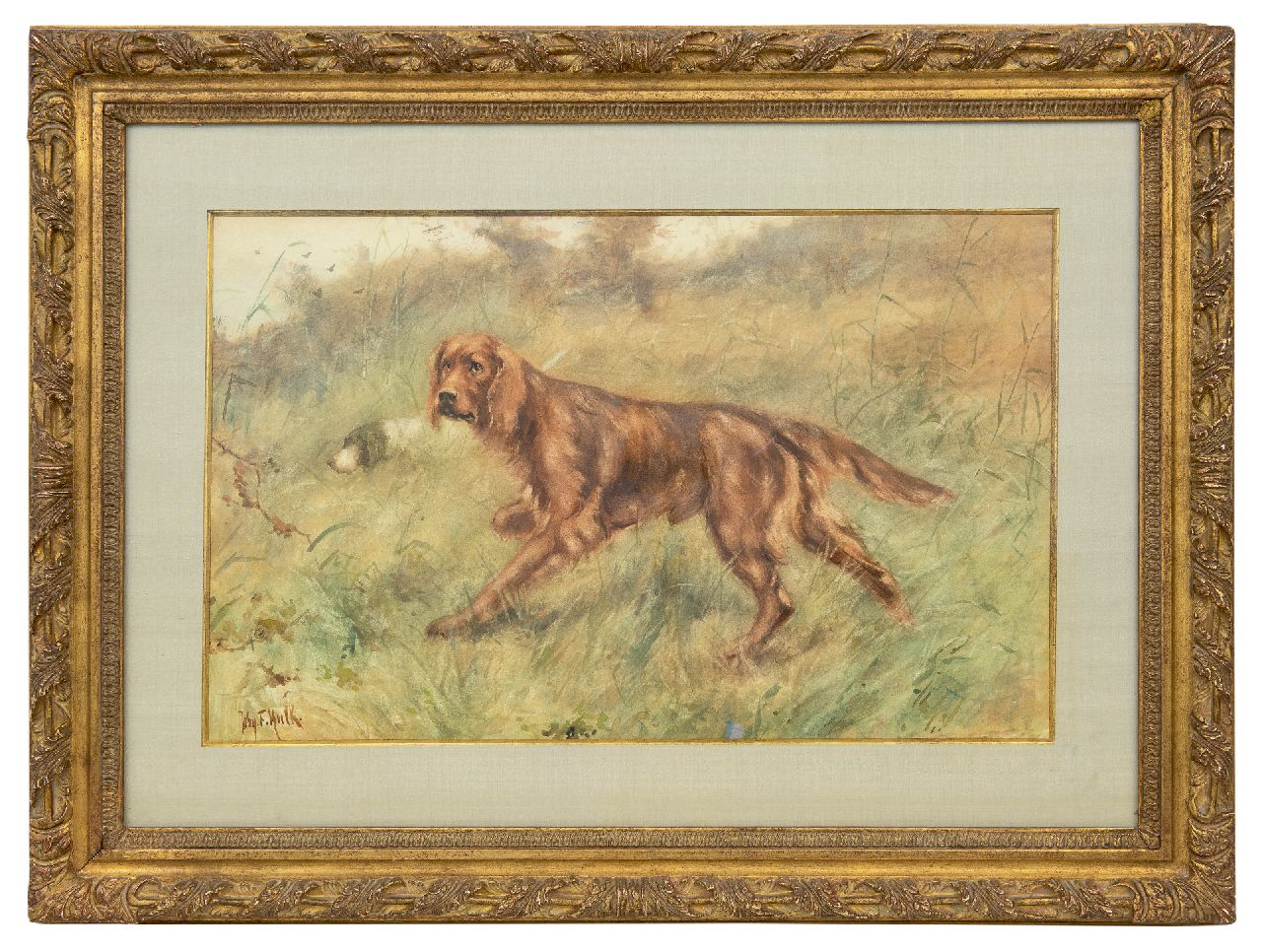 Hulk jr. J.F.  | Johannes Frederik 'John' Hulk jr., Ierse setter, aquarel op papier 40,0 x 63,5 cm, gesigneerd linksonder