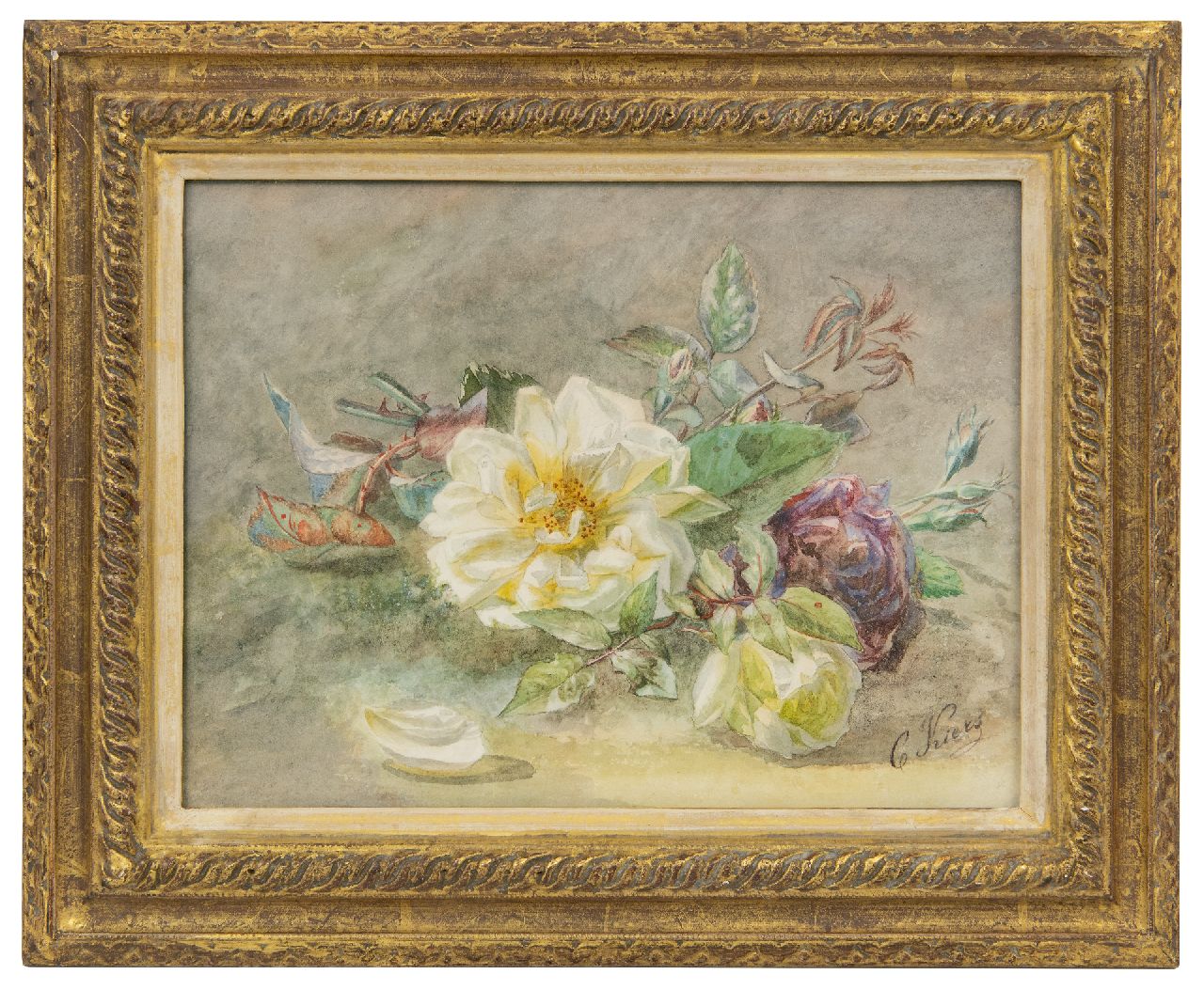 Kiers C.I. | 'Catharina' Isabella Kiers | Aquarellen en tekeningen te koop aangeboden | Rozentakken, aquarel op papier 23,8 x 30,5 cm, gesigneerd rechtsonder Kiers C.I. | 'Catharina' Isabella Kiers | Aquarellen en tekeningen te koop aangeboden | Rozentakken, aquarel op papier 23,8 x 30,5 cm, gesigneerd rechtsonder