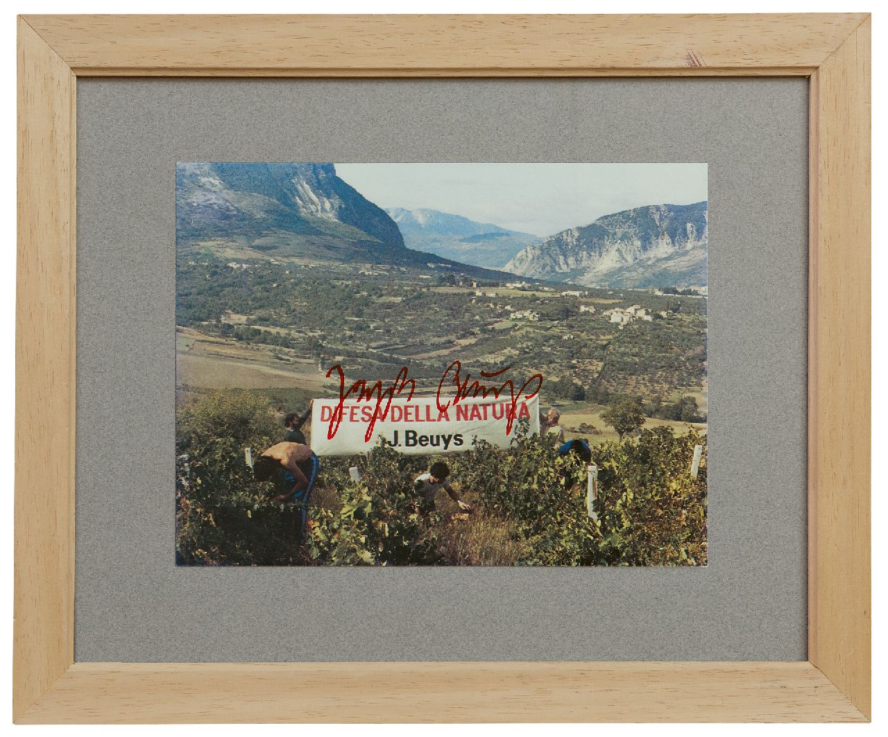 Beuys J.H. | 'Joseph' Heinrich Beuys | Grafiek te koop aangeboden | Difesa della Natura, kleurenfoto 15,0 x 20,0 cm, gesigneerd middenonder en te dateren 1984 Beuys J.H. | 'Joseph' Heinrich Beuys | Grafiek te koop aangeboden | Difesa della Natura, kleurenfoto 15,0 x 20,0 cm, gesigneerd middenonder en te dateren 1984